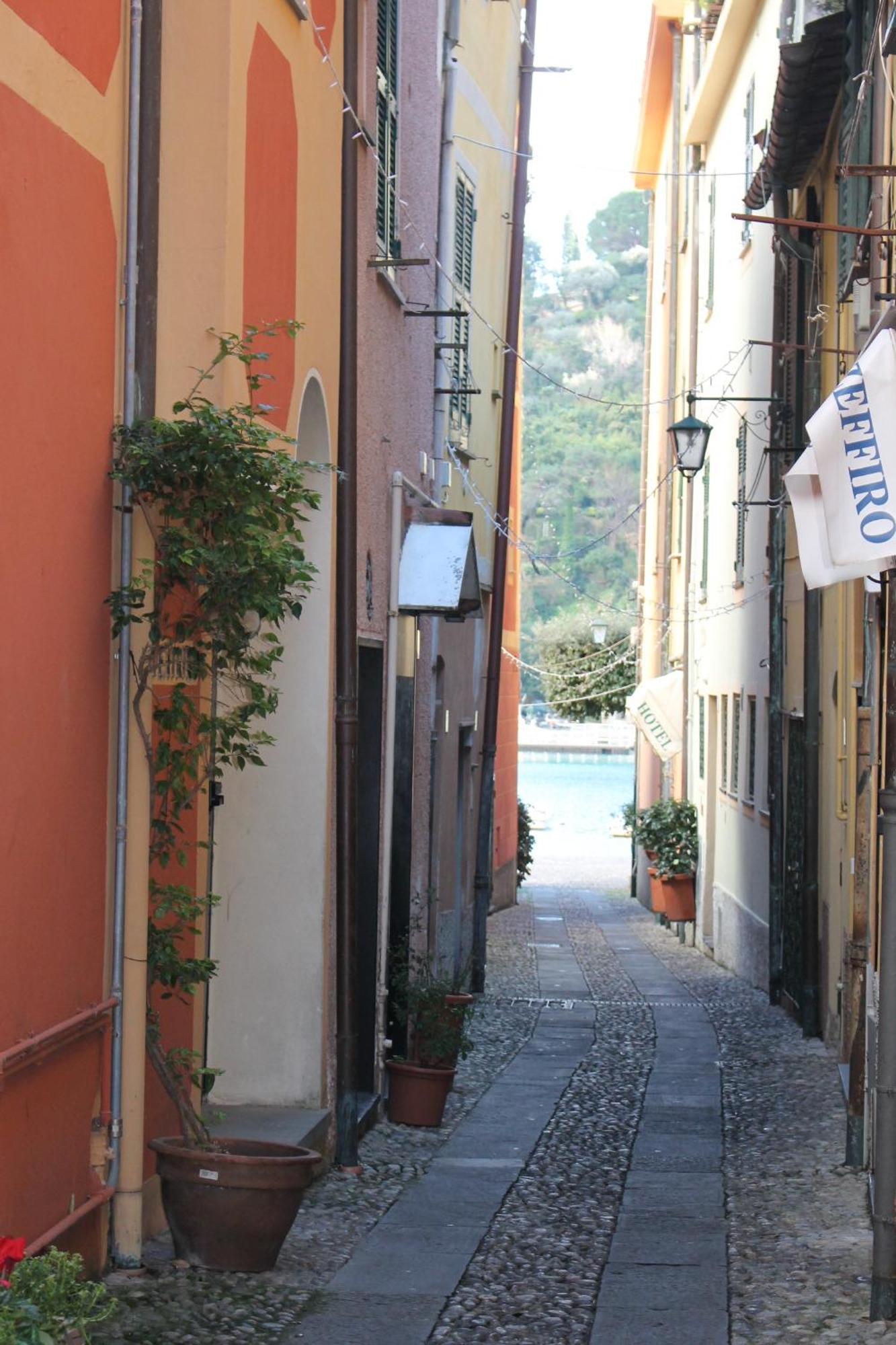 Portofino's Cozy Terrace *