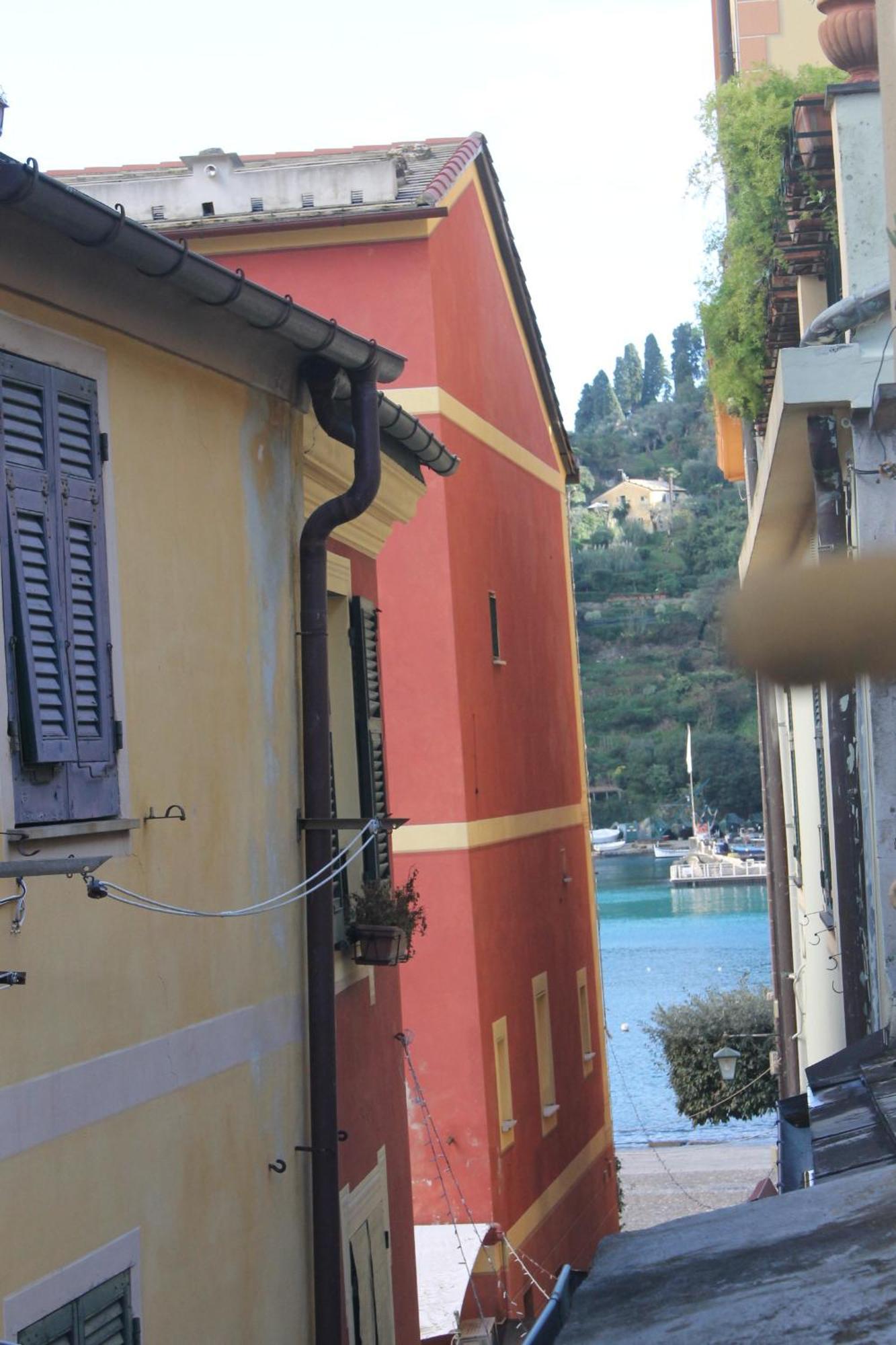 Portofino's Cozy Terrace Appartement